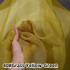 40#Herbe jaune-vert