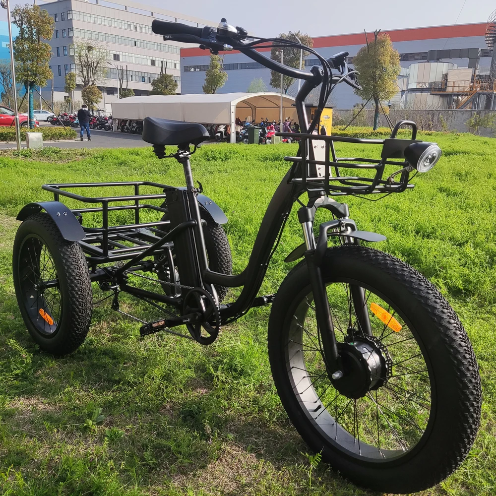 Wheel Joyebikes Joyebikes 20 Inch Cargo 500w 750w Electric