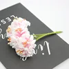 Rose1