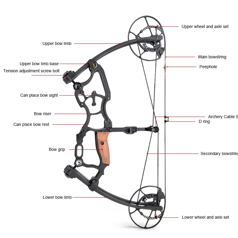 Archery Compound Bows Arrow Hunting Adjustable Draw Weight Compound Bow Shooting Steel Ball and Arrow Dual Purpose for Hunting