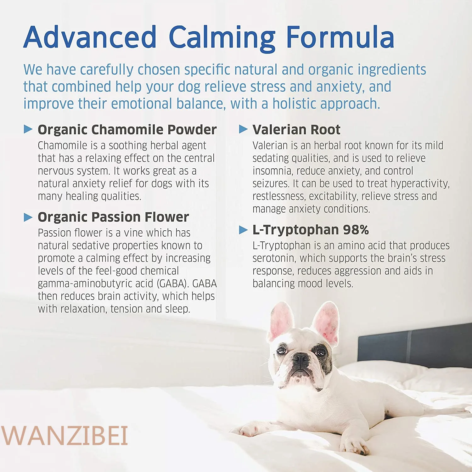 Illustration of Holistic Dog Calming Formulas