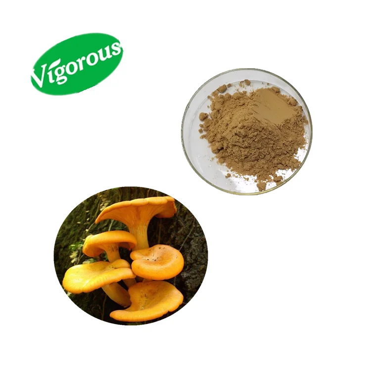 30polysaccharides Chanterelle Cibarius Mushroom Extract Powder Buy