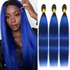 1b/colore dritto blu