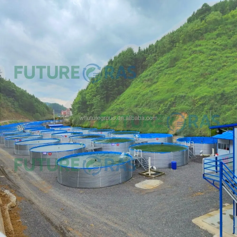 大規模養殖池 ティラピア プラスチック製養魚池 水産養殖池| Alibaba.com