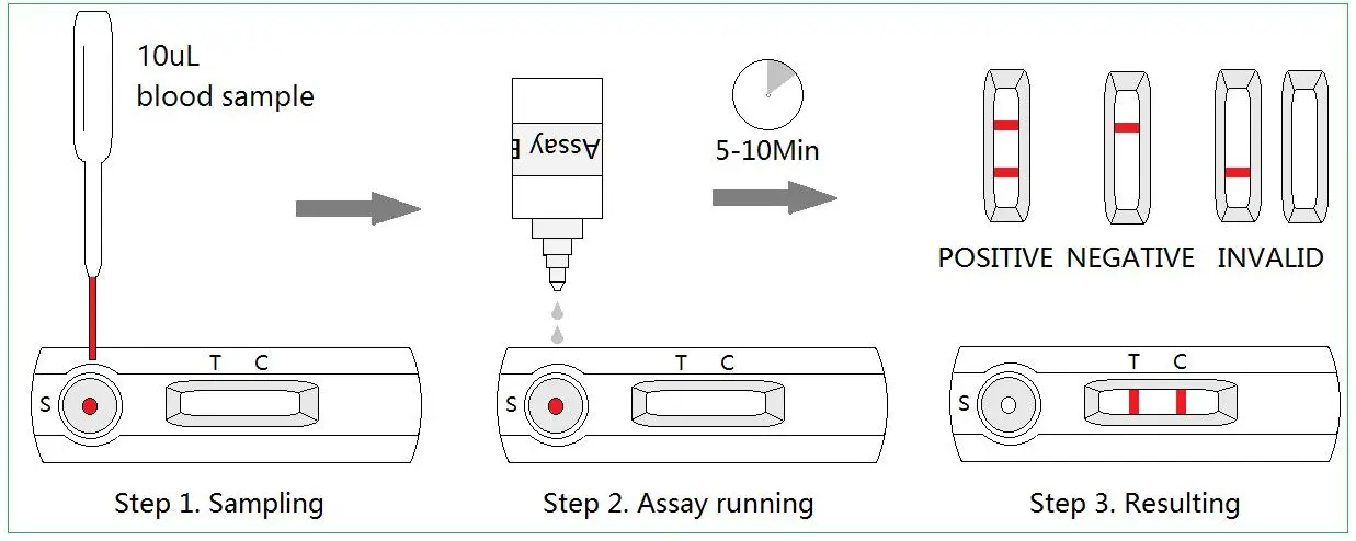 Feline Mycoplasma Pneumoniae Ag Antigen Igg/igm Rapid Test Kit