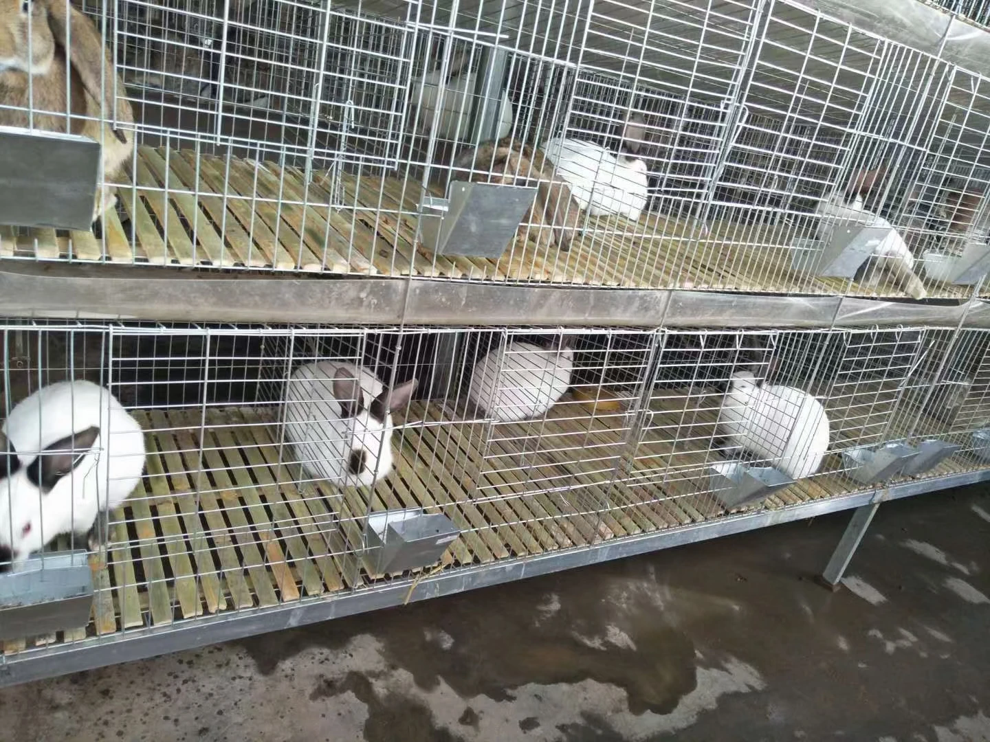 Galvanized Rabbit Cages Cheap Commercial Rabbit Breeding Cages Durable Provided Rabbit Cages for Sale 2023 Best Selling