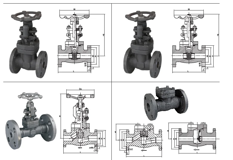 ANSI API Gate Valve SS 304 316 CF8 CF8M A105 Forged Steel