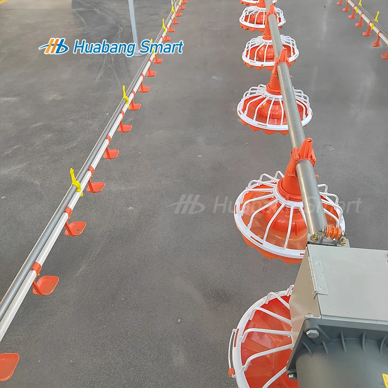 Automatic Feeding Line System Pan Feeders for Chicken House Poultry
