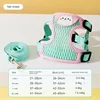 Green Pink Bear
