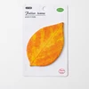 Orange-Birch Leaf