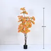 Yellow Ficus microcarpa, 180cm
