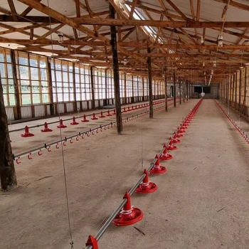 Poultry House Broiler Floor Breeding System