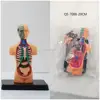 Pacchetto QS-708B Polybag modello umano mezzo corpo da 20cm