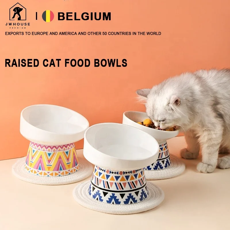 extra wide elevated ceramic pet bowl