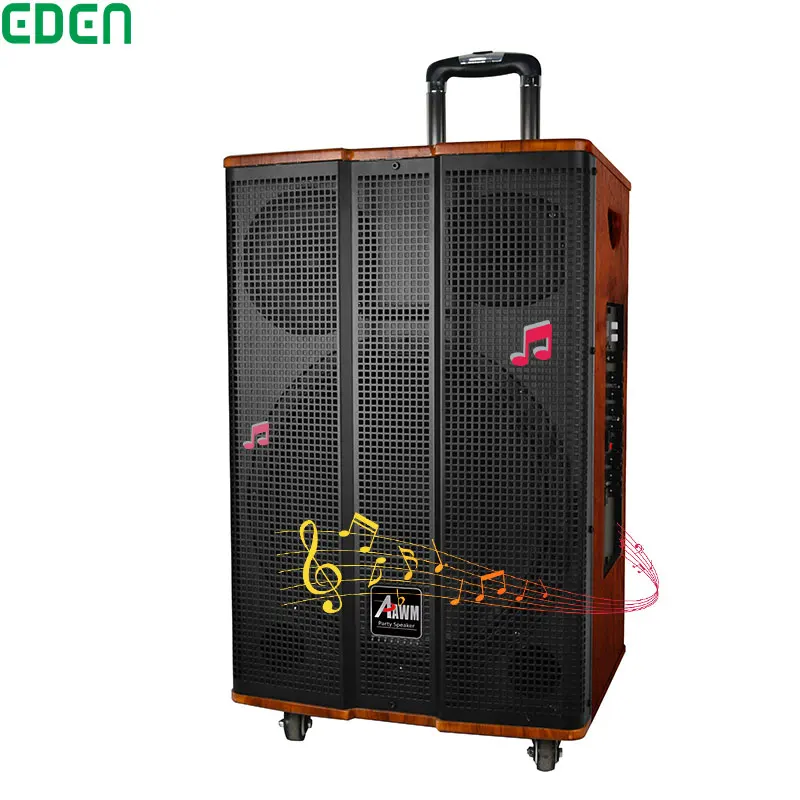 15 Inch Professional Speaker DJ Karaoke Speaker Sound Box Wireless BluetoothWooden Trolley Speaker With MIC