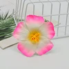 Bord rose