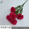 Single Carnation XC Rose Red