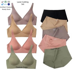OEM Wholesale Pants Push up Wire Free Ice Silk Sleep Jelly Bra and Brief Sets Seamless Bras Bikini Suit BH Seamless Bra Panties