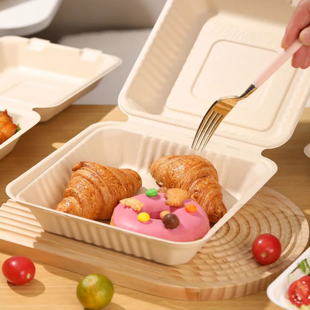 Oasis Manufacture Factory's Compostable Biodegradable Disposable Buger Pulp Paper Box Greaseproof for Food for Sushi Packaging