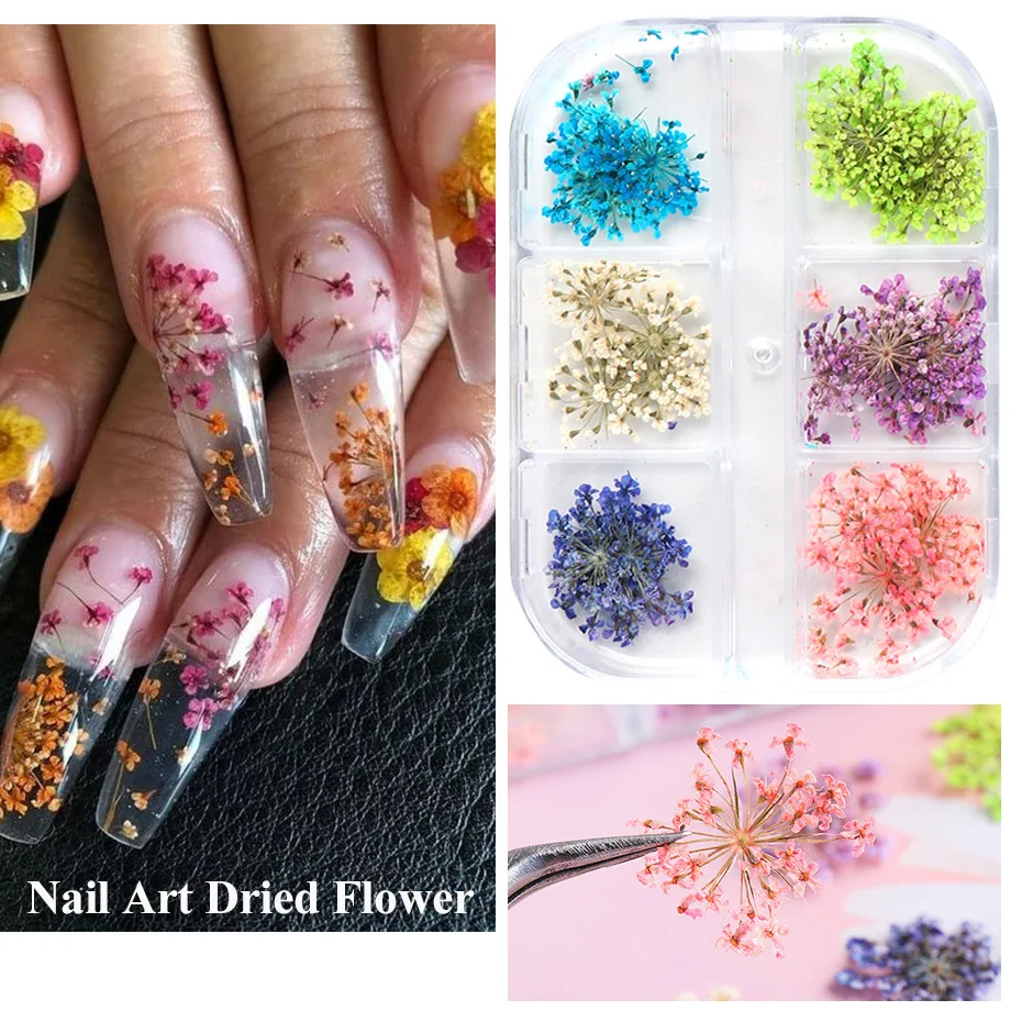24pcs/box 3d dried flowers nail art