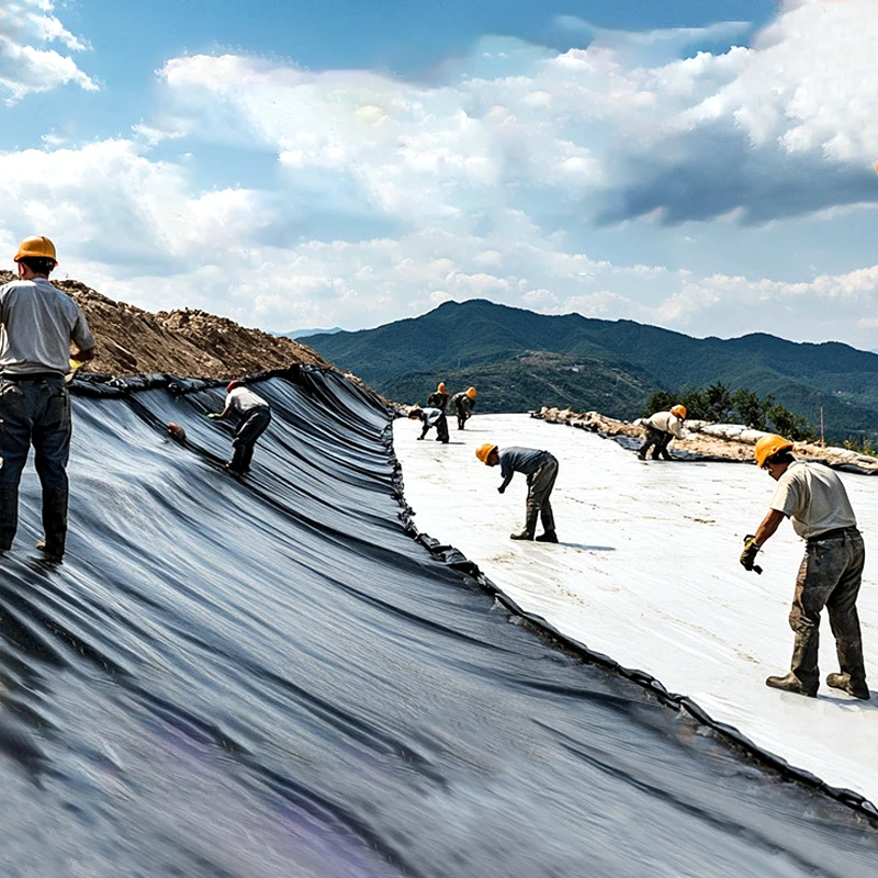 HDPE Geomembranes Industrial Outdoor Use 1mm-2mm Dam Biodigester Agricultural Pond Liners Shrimp Farms Fish Ponds Landfill