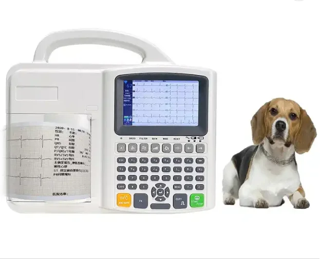 Factory Wholesale Vet Electrocardiograph 5 inches 3 Channels 12 Leads Veterinary Ecg Machine With Interpretation