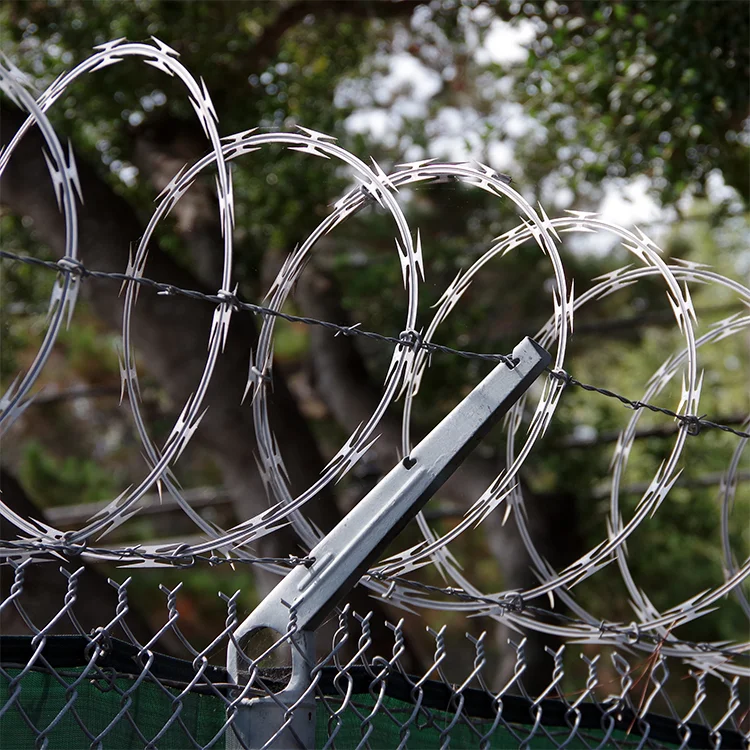 Powder-Coated Black Wire Mesh-Durable & Aesthetic Welded Mesh with Cutting Service for Residential/Commercial/Prison/Airport Use