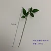 Tige de rose de taille moyenne - avec de grandes feuilles