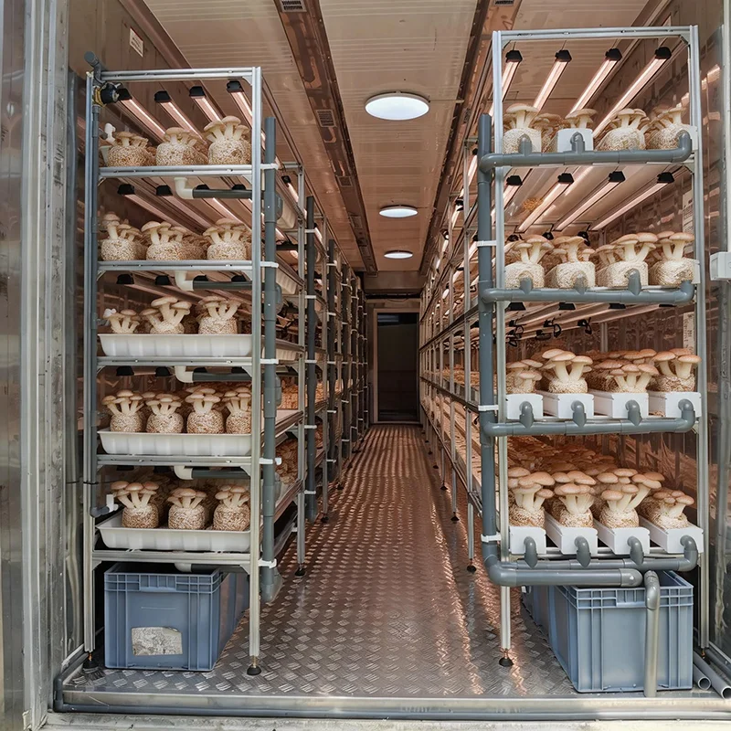 Hd5ff5775599947be9e7e87851d5597364