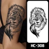 HC-308