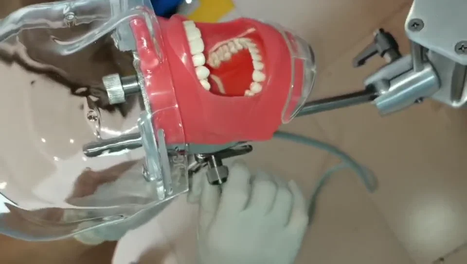 Dental Training Simulator Phantom Head With Replacement Typodont Teeth