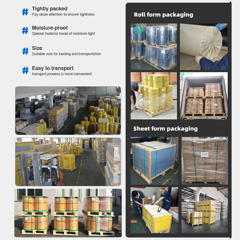 Pellicola Per Alimenti Trasparente | Rotolo Uso Professionale - Foto 9