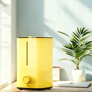 Customized 4L 4.5L Essential Humidifier Office Ultrasonic Aromatherapy Purifying Air Humidifier