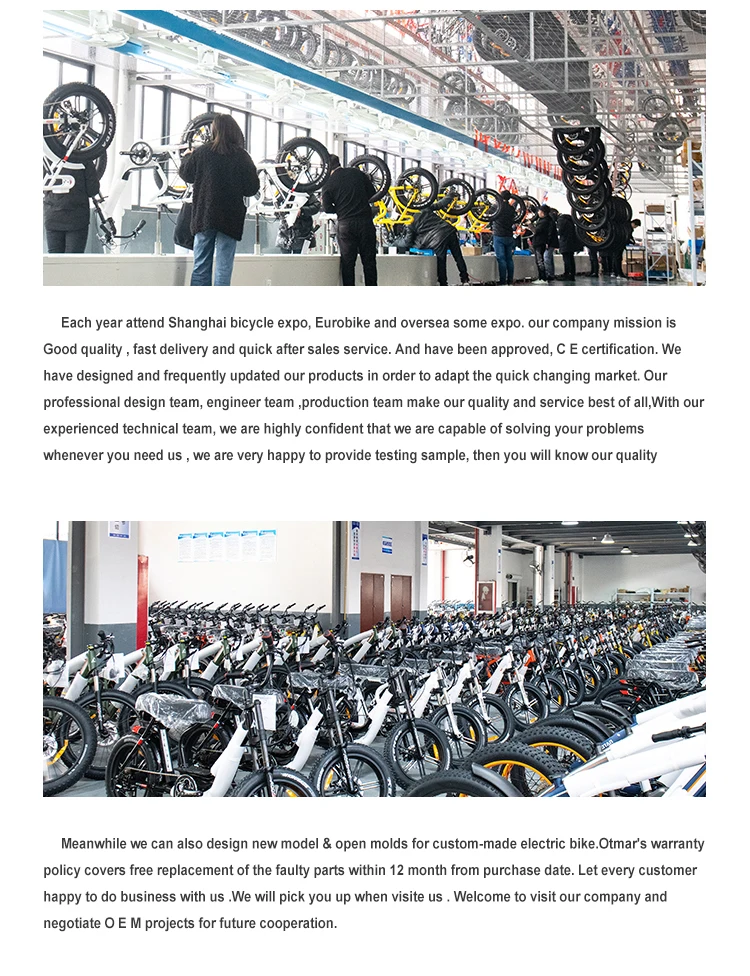 20inch Gates Belt Drive Electric Bicycle Mid Drive Electric Bike 1000w