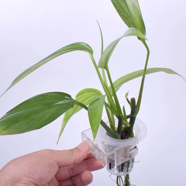 Custom Plastic Hanging Aquarium Plant Holder for Live Plants