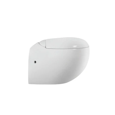 AIDI Best Selling Modern Ceramic Bathroom Rimless Egg Shape Round Bowl Wall Hung Toilet manufacture