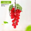 24 rojo