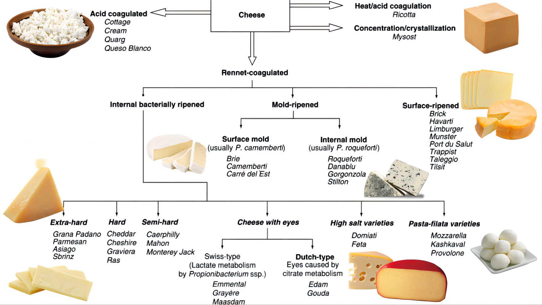 200kg Output Butter Ghee Shortening Cheese Complete Processing Plant ...