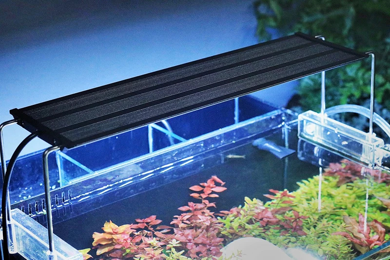 Fresh Look at Best Selling Energy Saving Super Bright Led Natural Light Aquarium