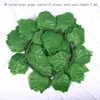 20 foglie di vite extra-large (12 pezzi per confezione, lunghezza 2,3 m)