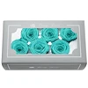Tiffany blue