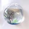 Transparent
