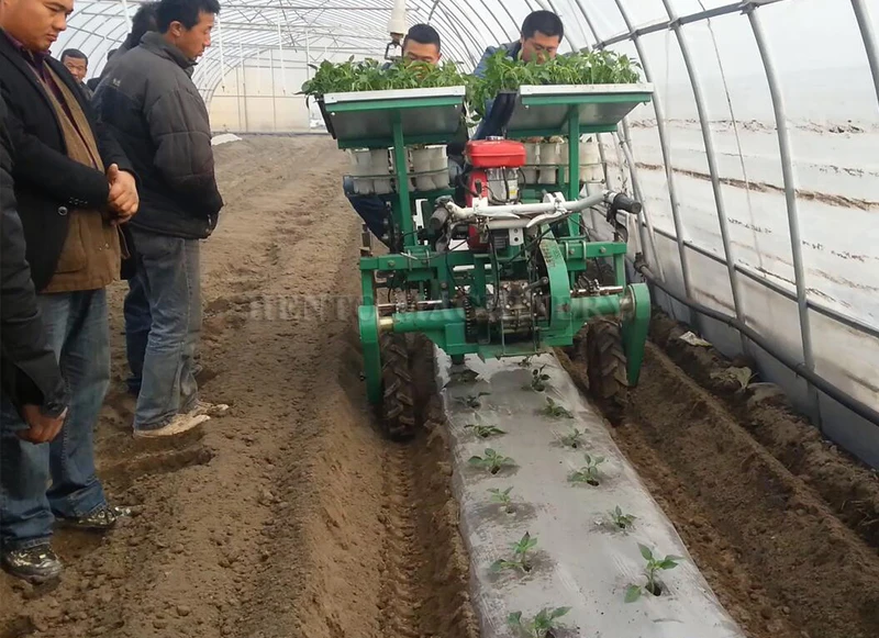 Hot Sale Paddy Transplanter Machine Price / Vegetable Transplanter / Vegetable Seeding Transplanter