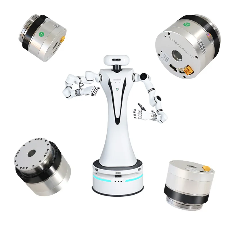 Humanoid Robot Motor - Exoskeleton Actuator for Intelligent