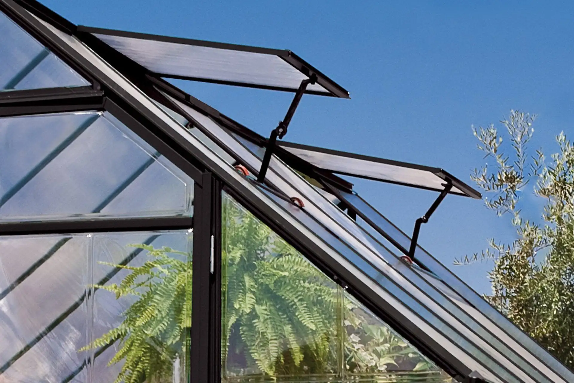 Blackout Greenhouse