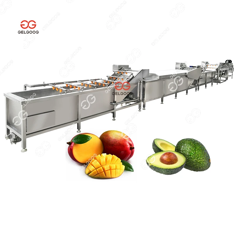 Avocado Wash Machine Washing and Waxing Avocado Cleaning and Grading Machine Industrial Washing Machine for Avocado