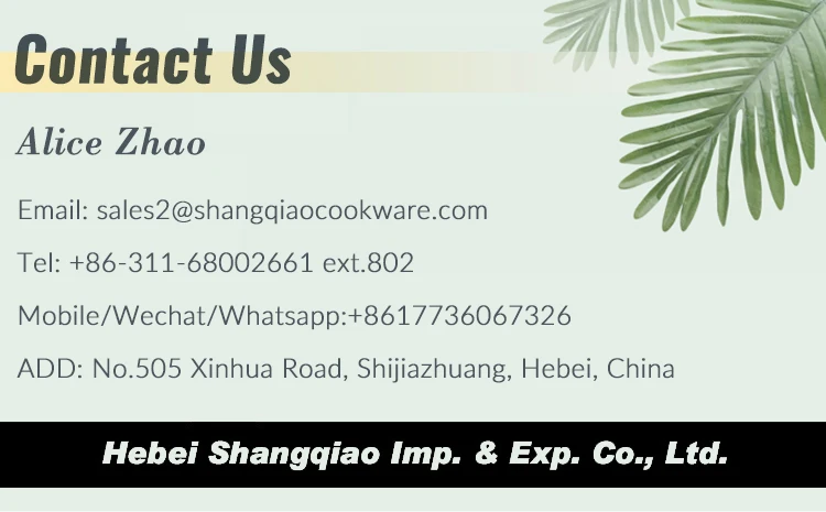 Alice Contact us.jpg