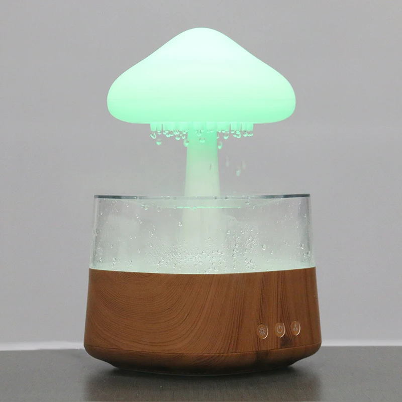 Rain cloud humidifier