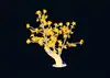 giallo 1