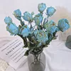 10 rose blu cielo